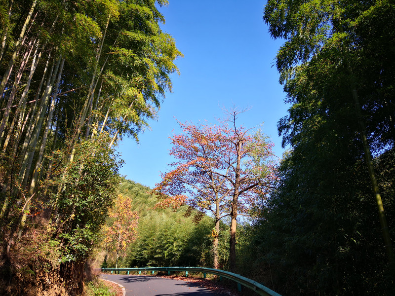 杭州大径山乡村国家公园(第一篇)