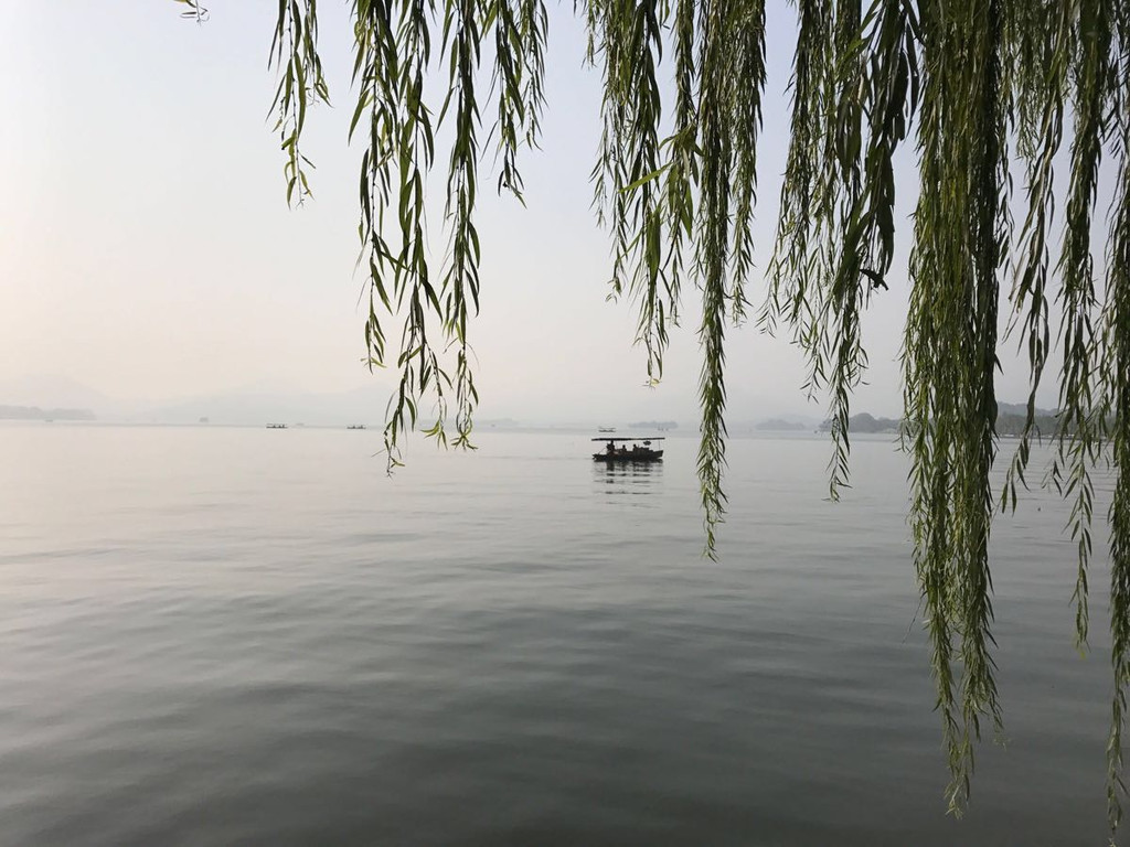 我出生在青藏高原,在小学的课本里就有"上有天堂 下有苏杭"