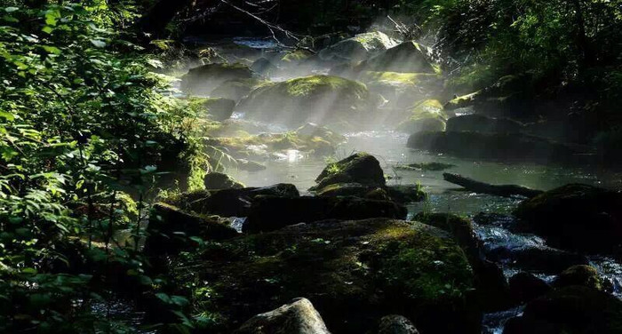 汤旺河林海奇石风景区