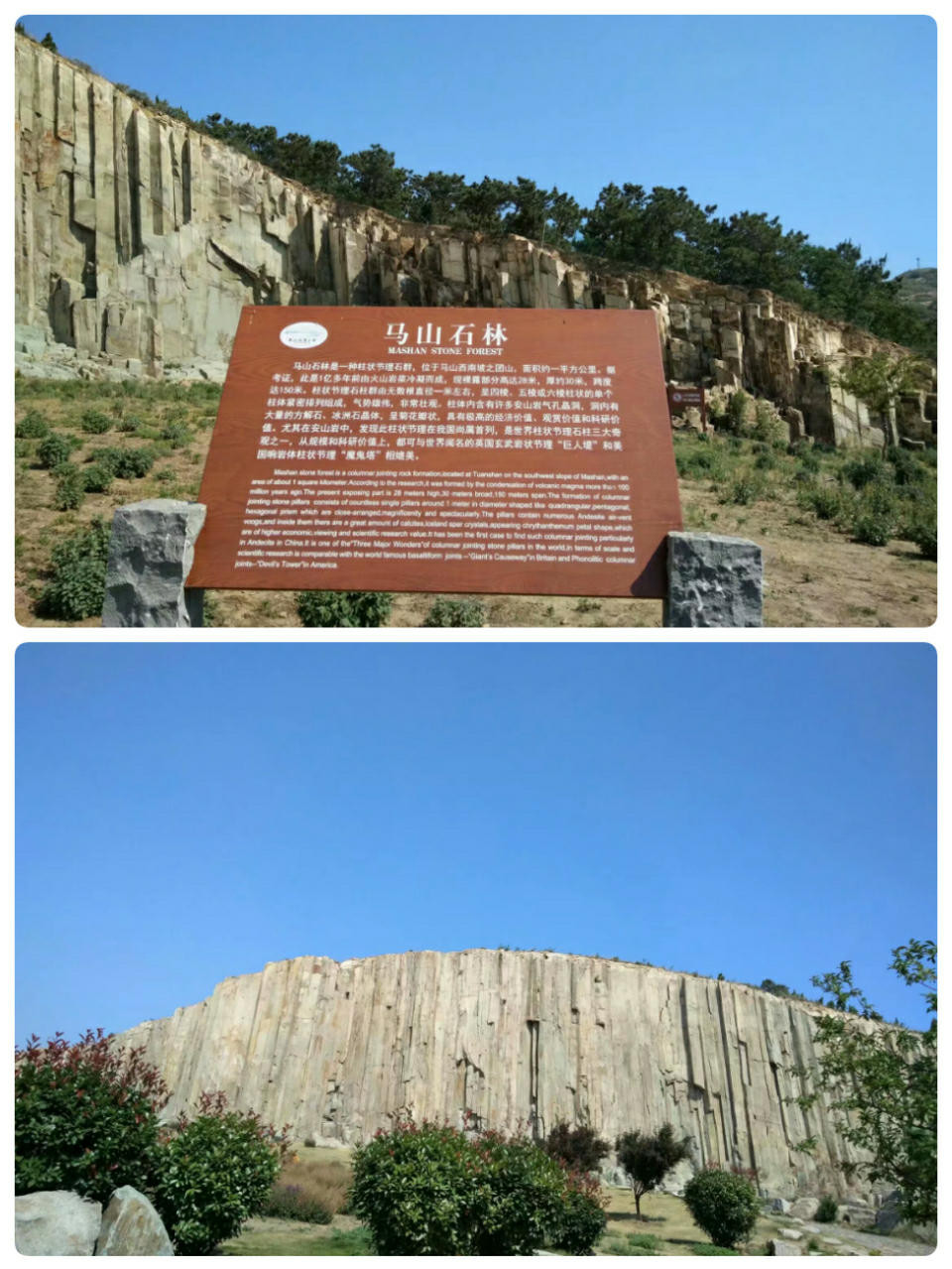 第3天 2017-06-14 即墨马山                                 青岛