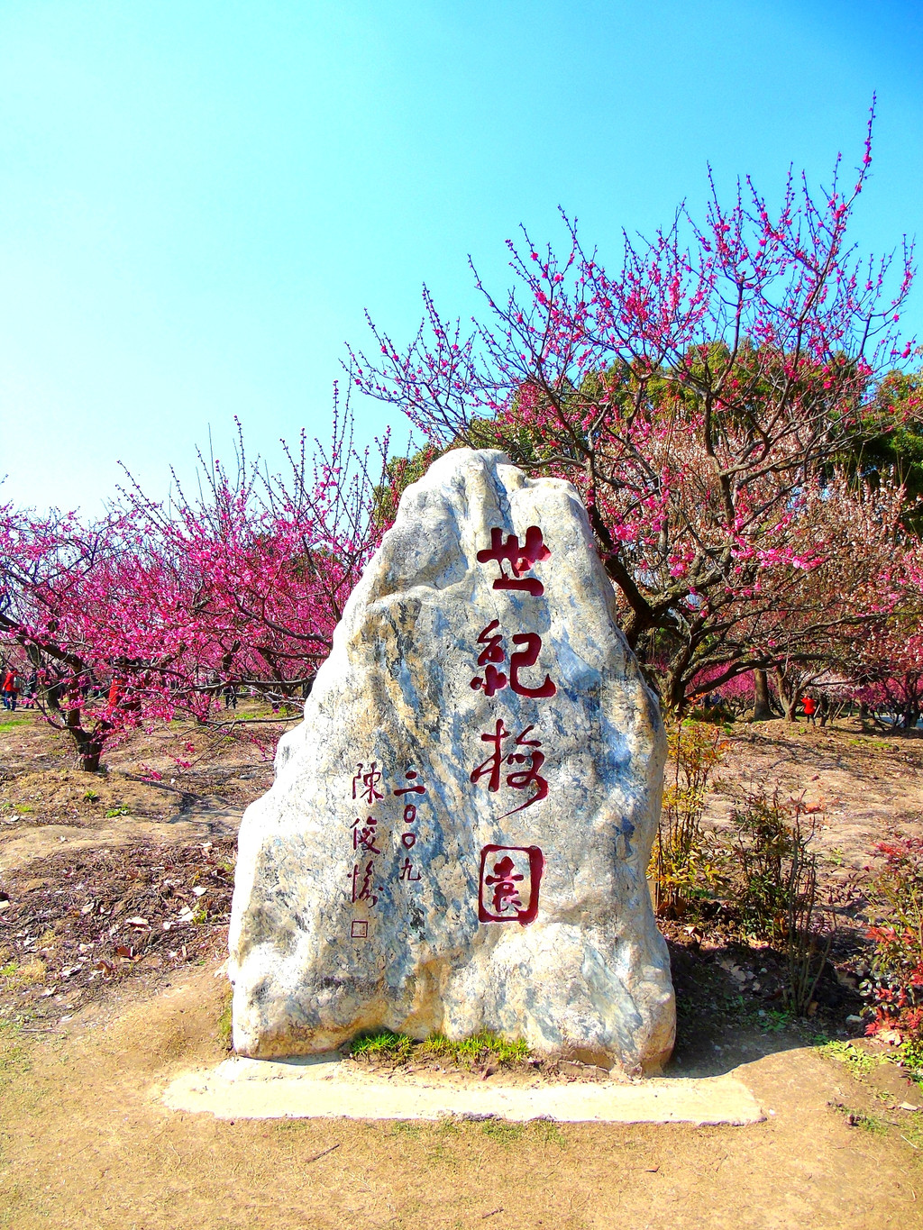 梅花泰斗陈俊愉先生亲笔题写的园名——世纪梅园.