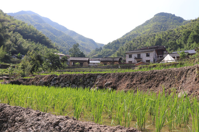 梯田田埂,回望秘境,主楼及附属.