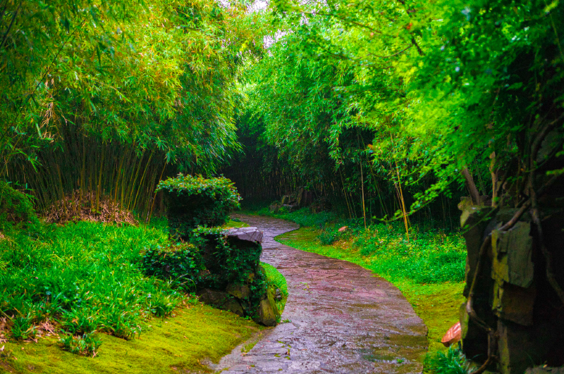 夏天的鼋头渚,跟着船娘去采莲吧雨中的鼋头渚,不只有樱花