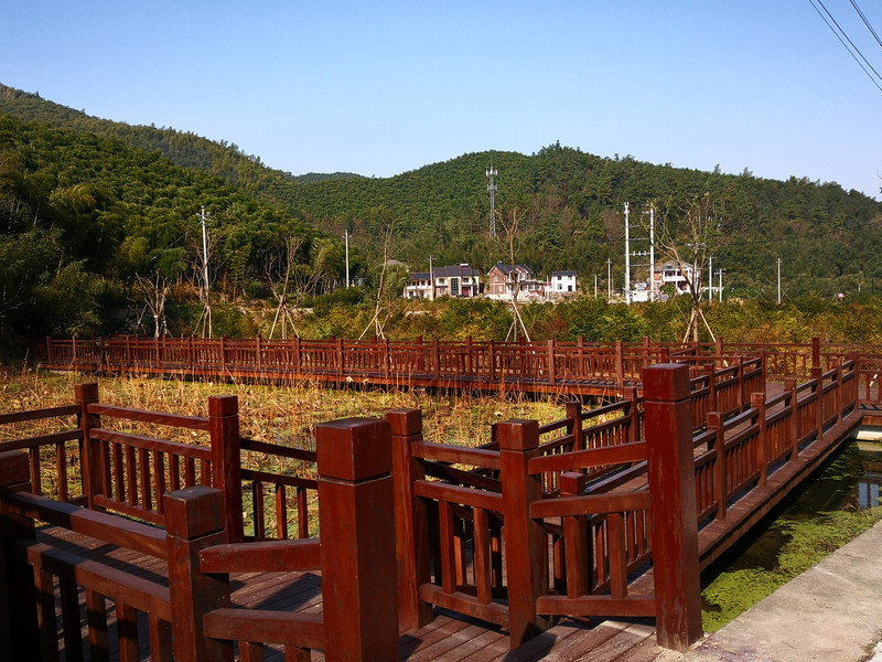 独松公园的游步道