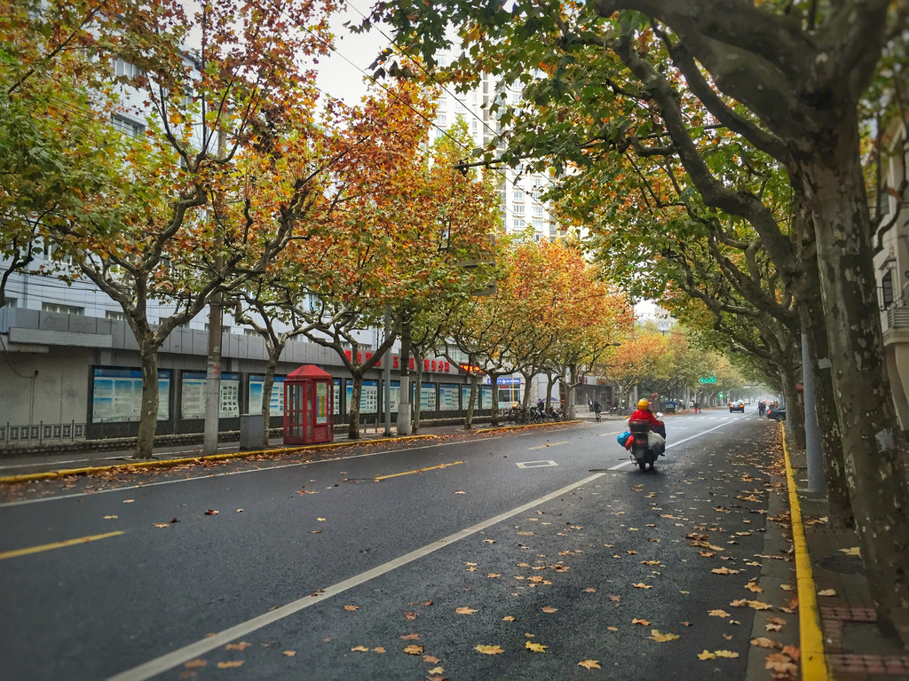 秋末初冬,从城市到乡村