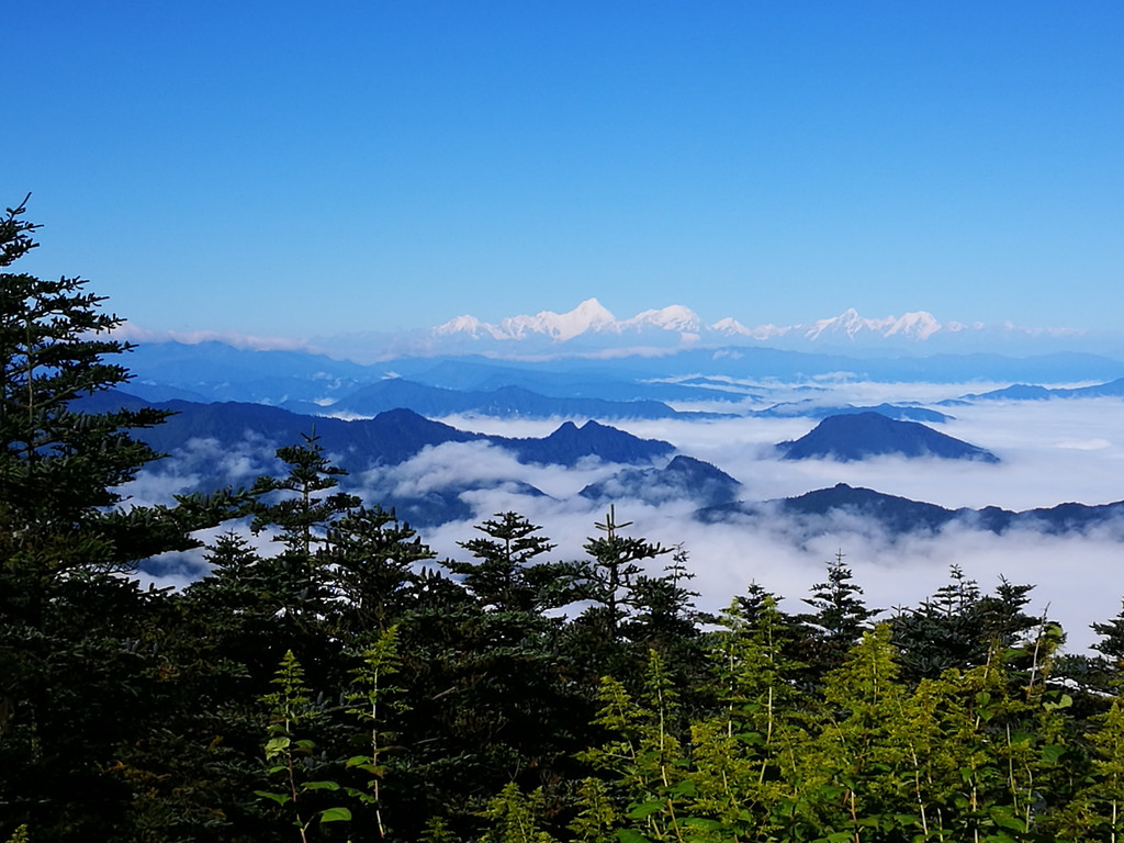 今天,峨眉山金顶的天气超好,本来以为是小雨的(天气预报,近段时间都