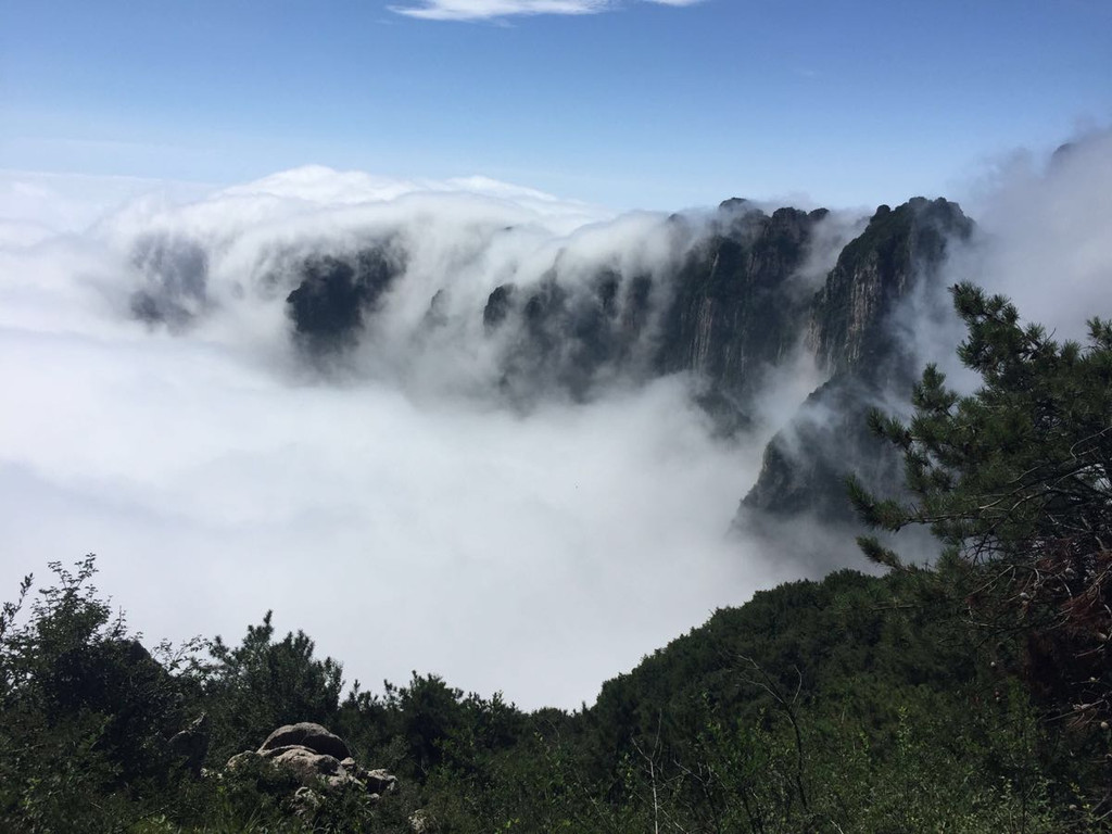 白云深处有人家飞流直下三千尺猜一成语