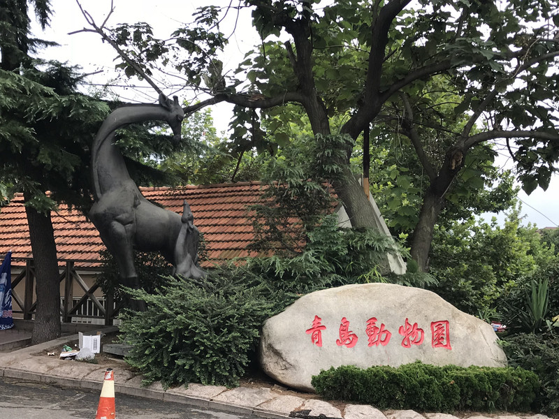 吃饱之后,我在百度地图上一看附近就是青岛动物园和中山公园,而且604