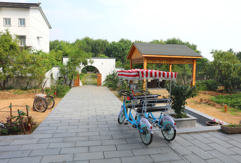 去太湖仙岛,住情调民宿,忆青葱岁月,周末苏州太湖三山