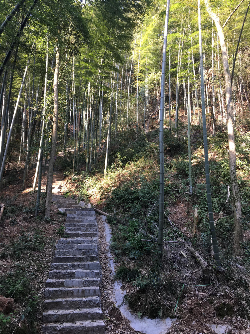 龙坞镇西山森林公园