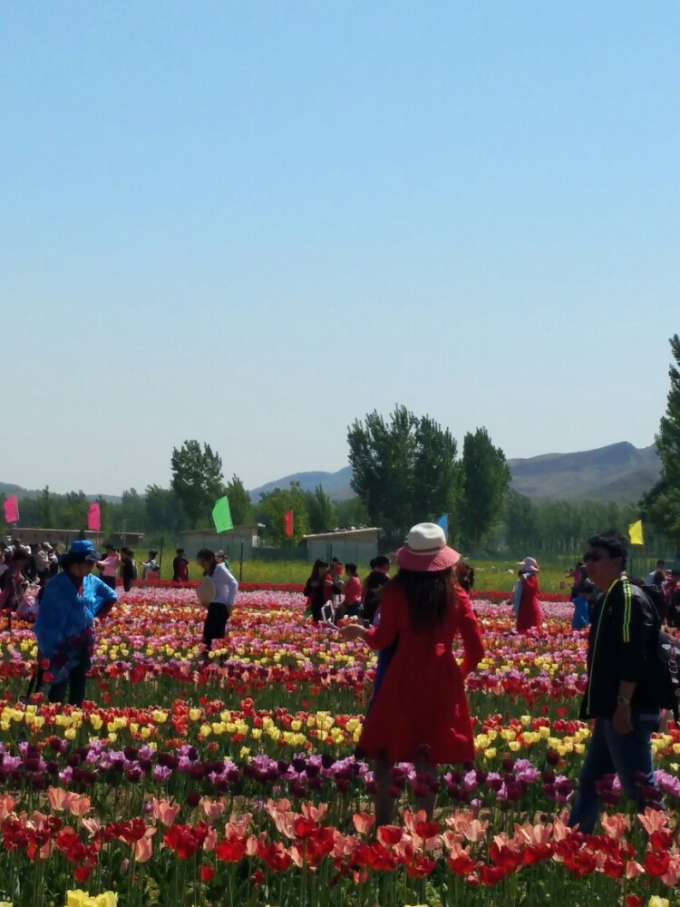 周六游狼牙山花海