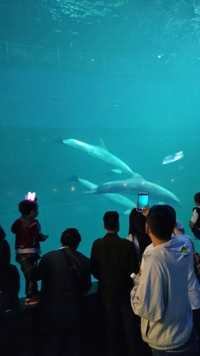 曲江公园海洋海洋好玩,曲江公园极地极地景高铁全攻略逃离图片