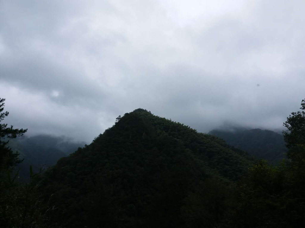 黄山东大门谭家桥镇                        