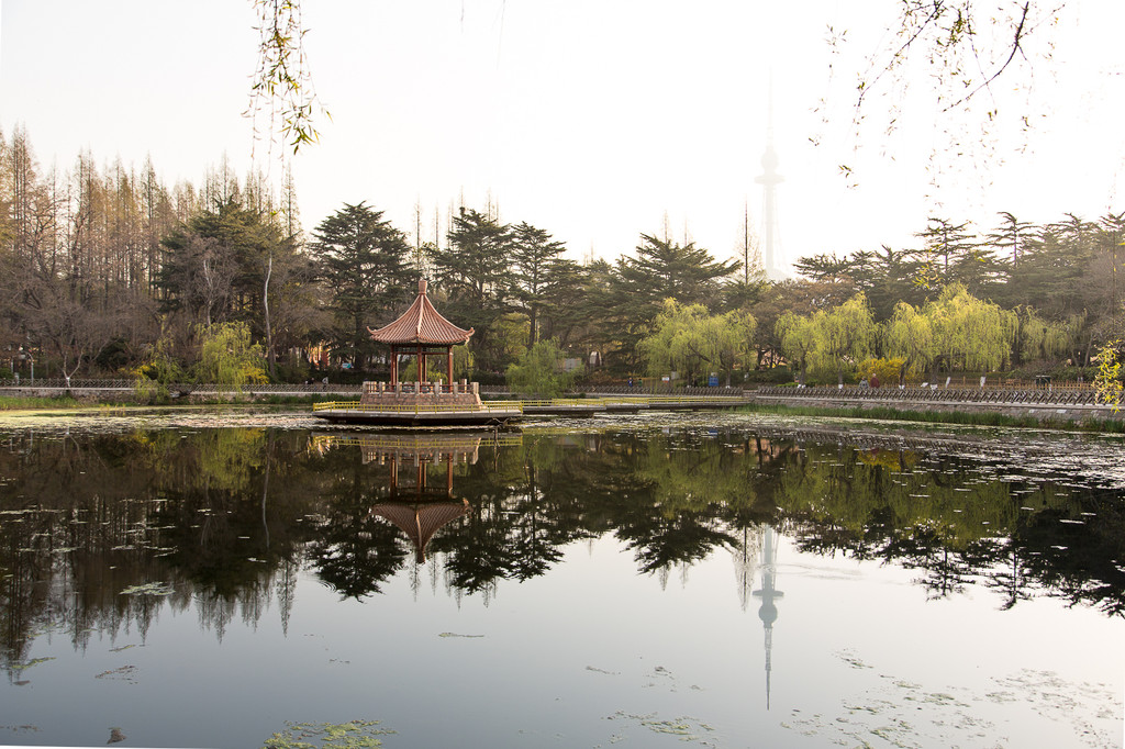 青岛中山公园-小西湖湖心的六角凉亭