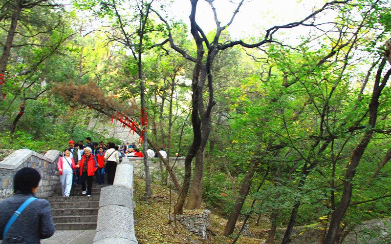 那一年,游走山东,济南火车自由行【千佛山,环城公园,泉城广场,大明湖