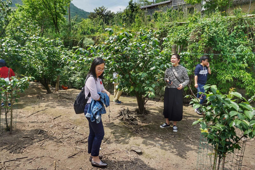 浙江绍兴岭南古村小组学习考察活动