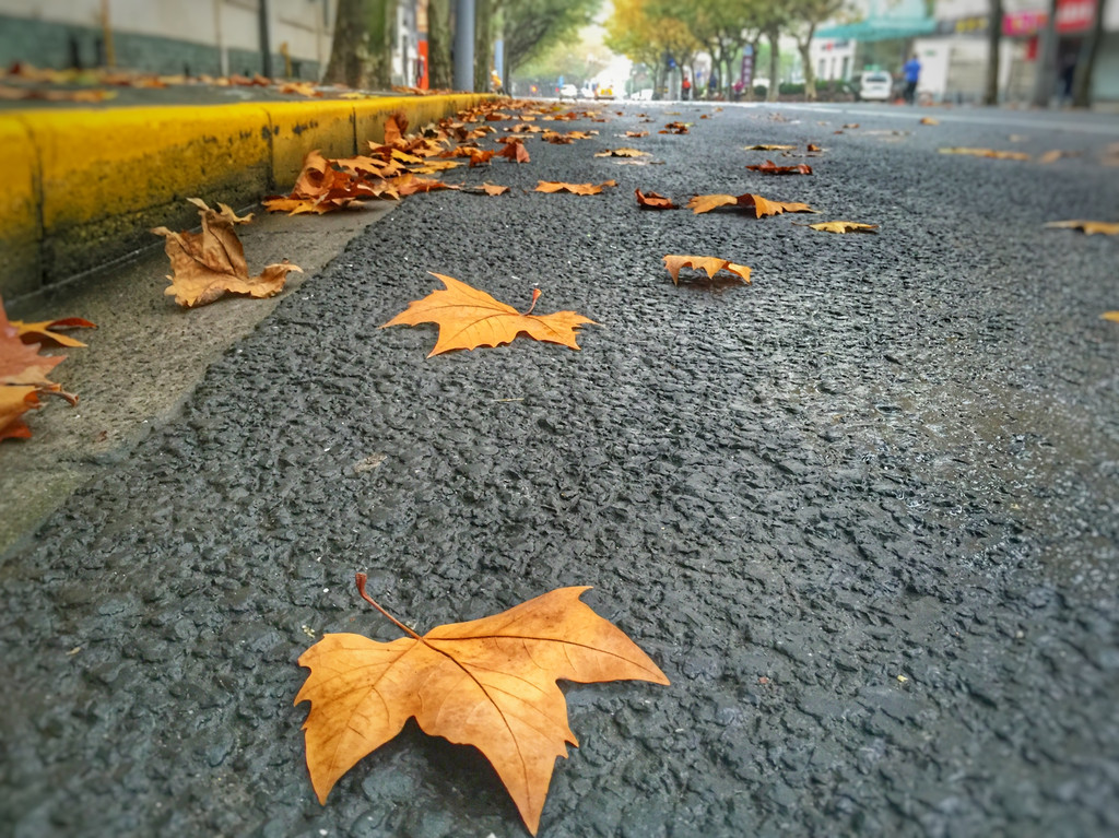 秋末初冬,从城市到乡村