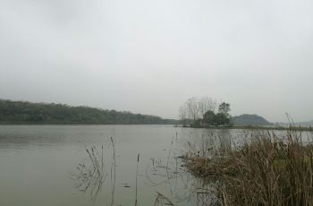 后官湖湿地公园 后官湖湿地公园门票,武汉后官湖湿地公园攻略 地址 最新开户送体验金大全 门票价格最新开户送体验金大全 10936 350x230