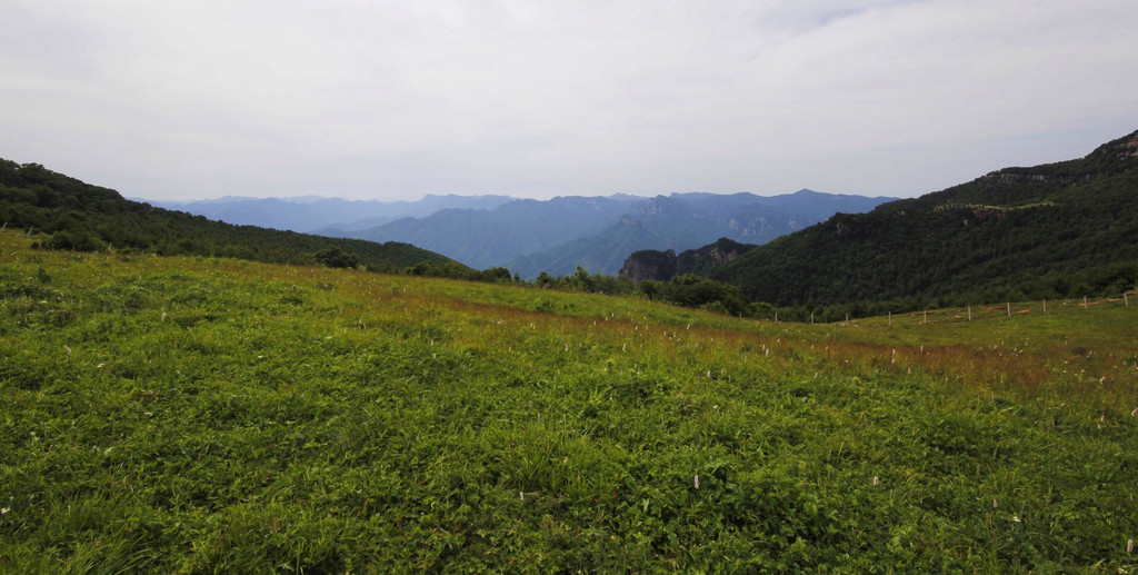 游历山水舜王坪——舜耕历山播礼让,圣王庇荫好乘凉