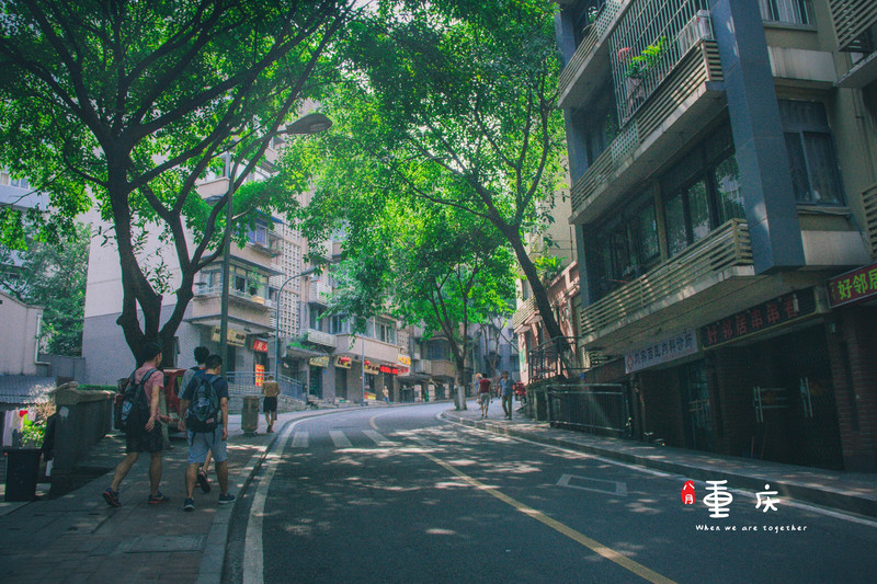 午后安静的街道,黄葛树遮天蔽日,阳光透过树荫斑斑驳驳的洒下,路上没