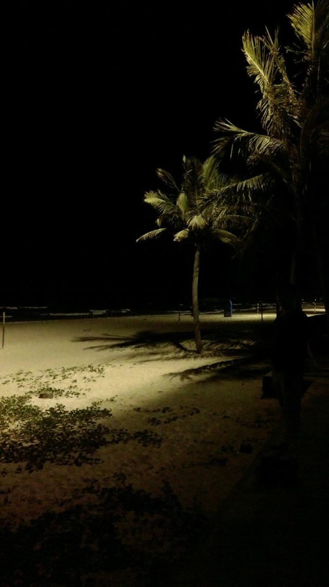 夜,是那么静,那么美… 岘港