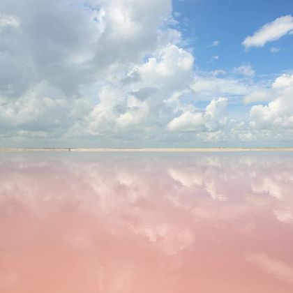 墨西哥坎昆粉红湖一日游