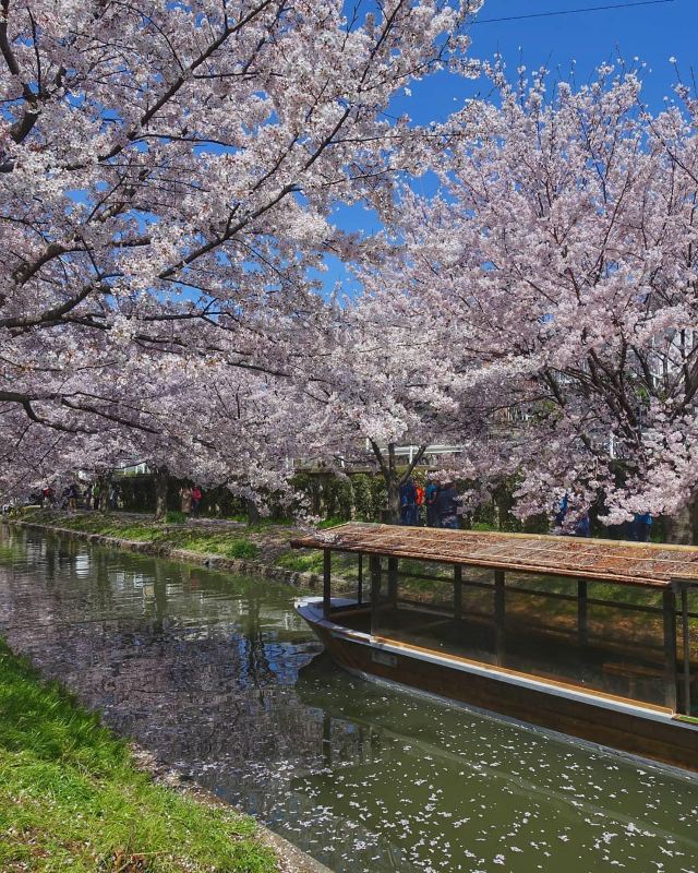 伏见桃山陵