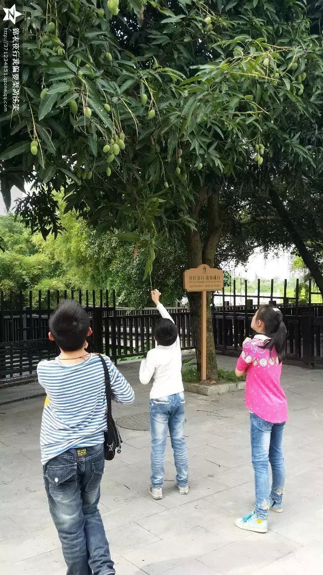 海陵岛旅游攻略,来海陵岛旅游不一样-阳江游幸存者探索游戏攻略图片