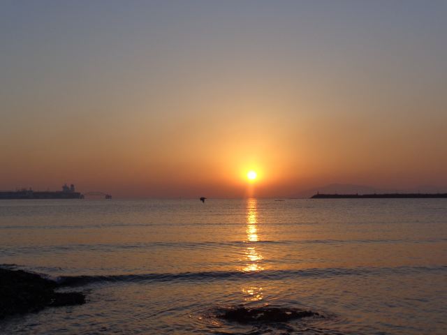 海上日出 青岛