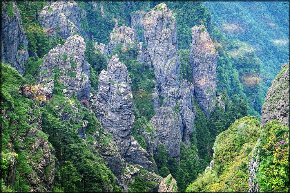 神农架记事 -郑伟华 九湖草暖觅野踪, 秘境奇翠生农神。 巴山清凉润万物, 三省景色入帘新。 神农架以原始、神秘闻名于世,区内山高谷深,林木茂密,气候复杂多变,四季景色迷人。独特的自然环境、人文历史,造就了极其丰富、珍贵的自然和人文景观,也孕育了景色宜人、钟灵毓秀的旅游环境。 地貌景观:主要有红石沟、长岩屋、红花营、神农顶、神农谷、阴峪河大峡谷、神农架群石槽河组地质奇观、大寨湾大峡谷、金丝燕洞等景观。水文景观:神农架山体高大,植被茂密,是一个巨大的储水库,山间溪流密布各条沟谷,深潭、激流湍滩、瀑布展示出别