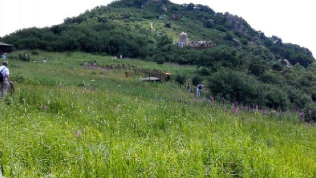 蝎子沟门票,涞水蝎子沟攻略/地址/图片/门票价格