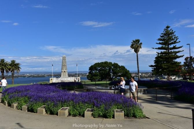 【西澳大利亚】如果我在珀斯遇见你 If I meet y