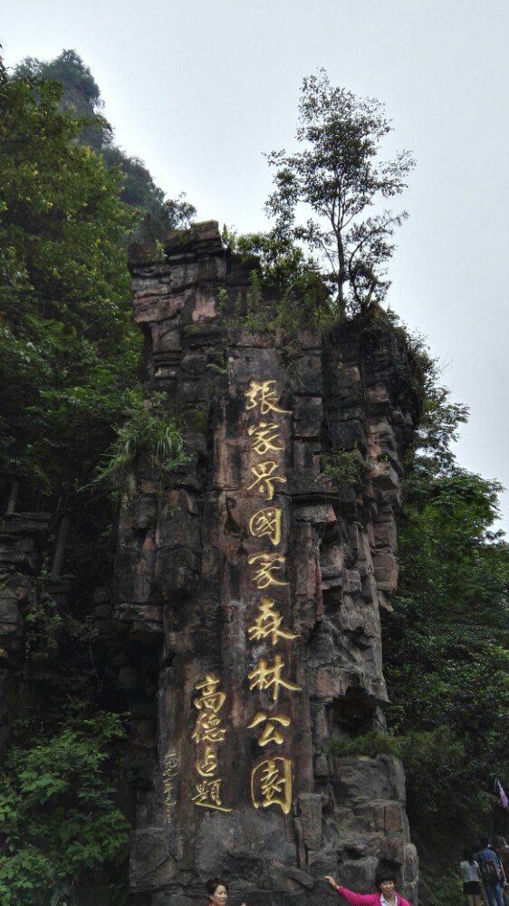 到达久负盛名的武陵源景区,门票240元三天有效