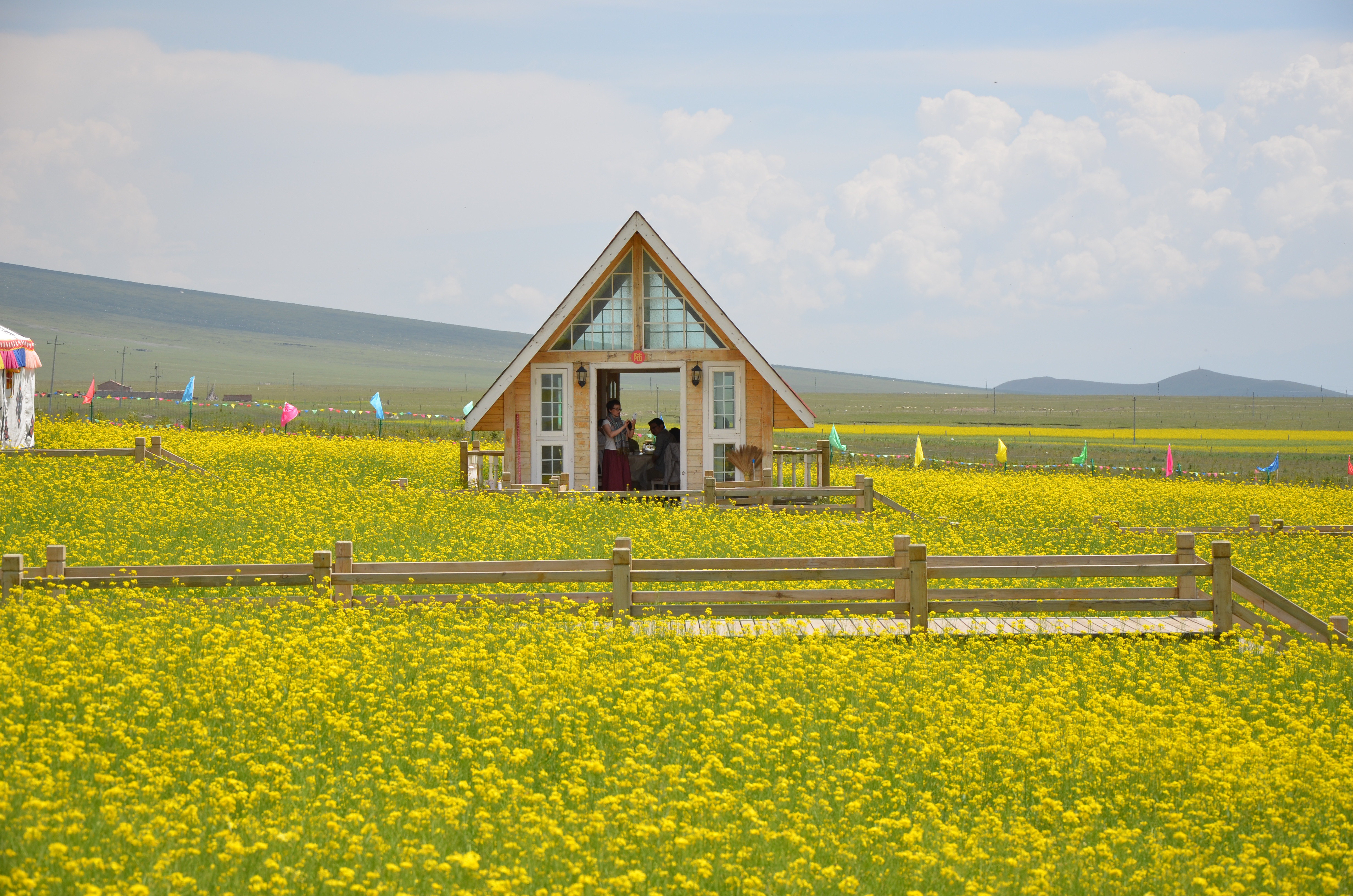 ԴڻнСľ