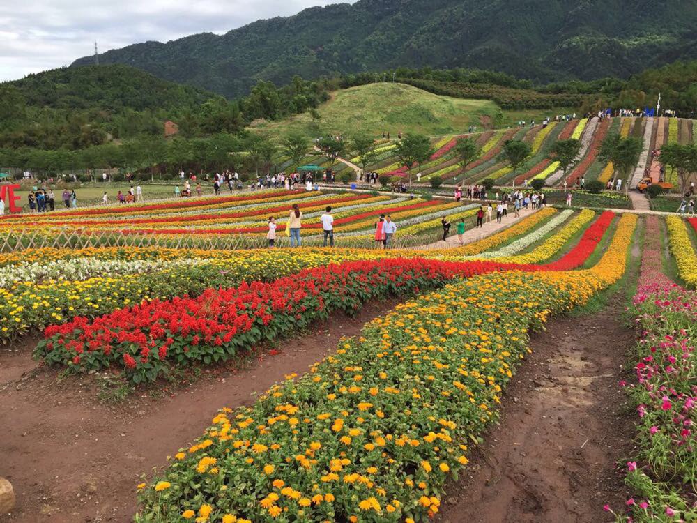 铜梁—四面山 与花同醉,烟雨梦,水长流