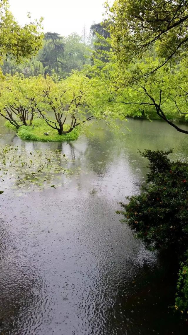 春衫薄湿西湖雨