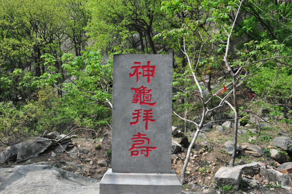 山东游记之平邑蒙山龟蒙景区