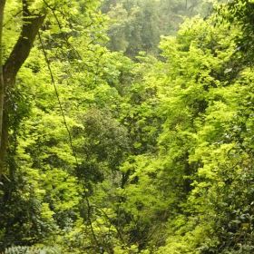 南丹山风景区门票,佛山南丹山风景区攻略\/地址