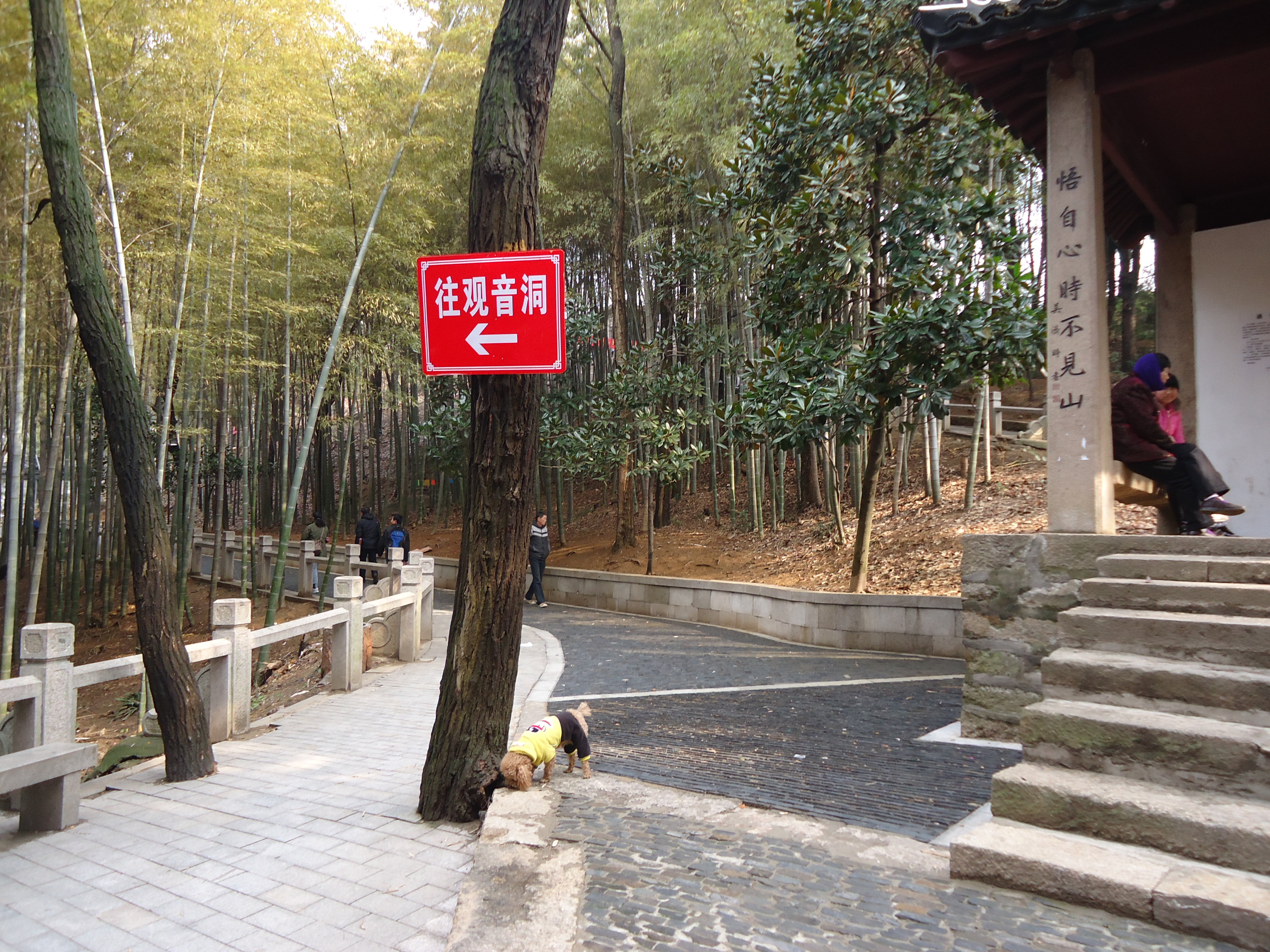 随手拍之灵岩观音洞