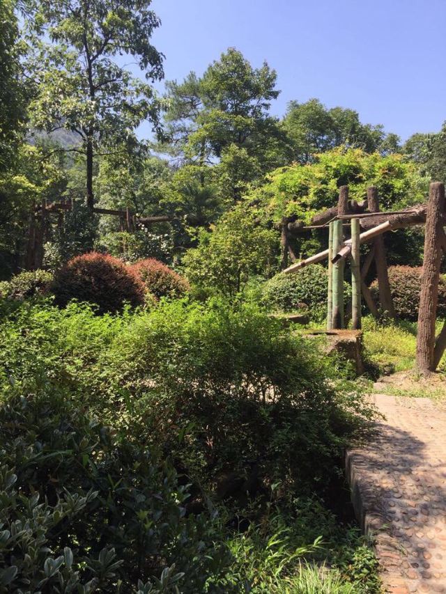 桐庐大溪峡漂流 大奇山两日自驾游