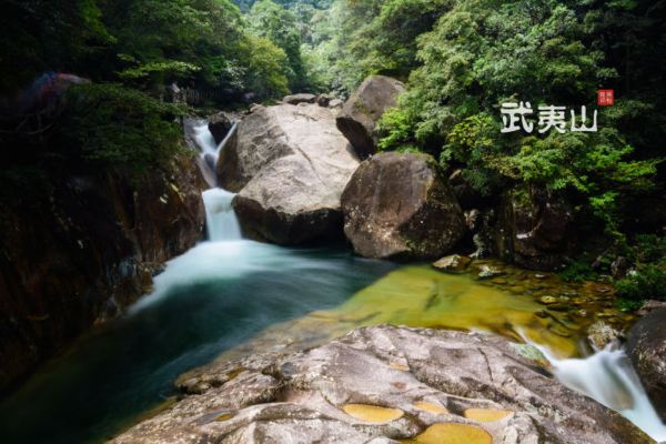 大安源景区内自然生态原始绮丽