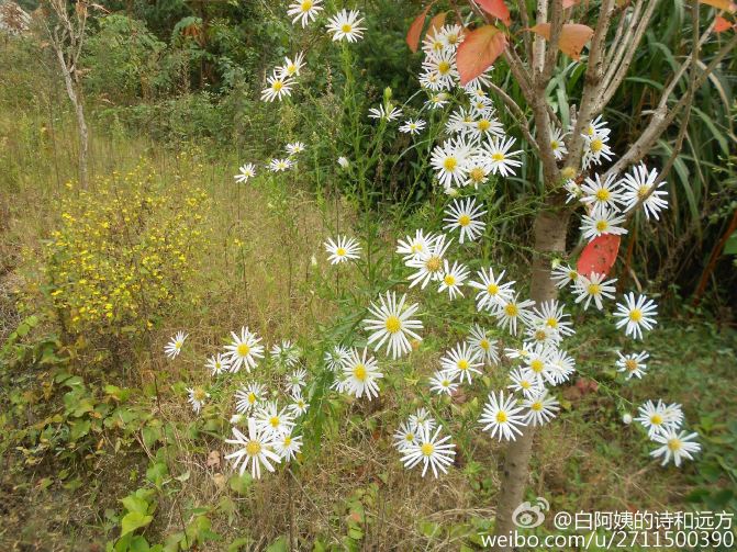 湖北罗田大别山天堂寨三日游--强烈推荐秋天的