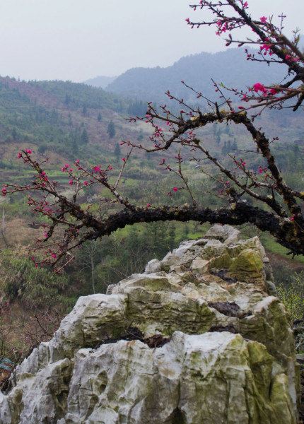 河源连平桃花山2