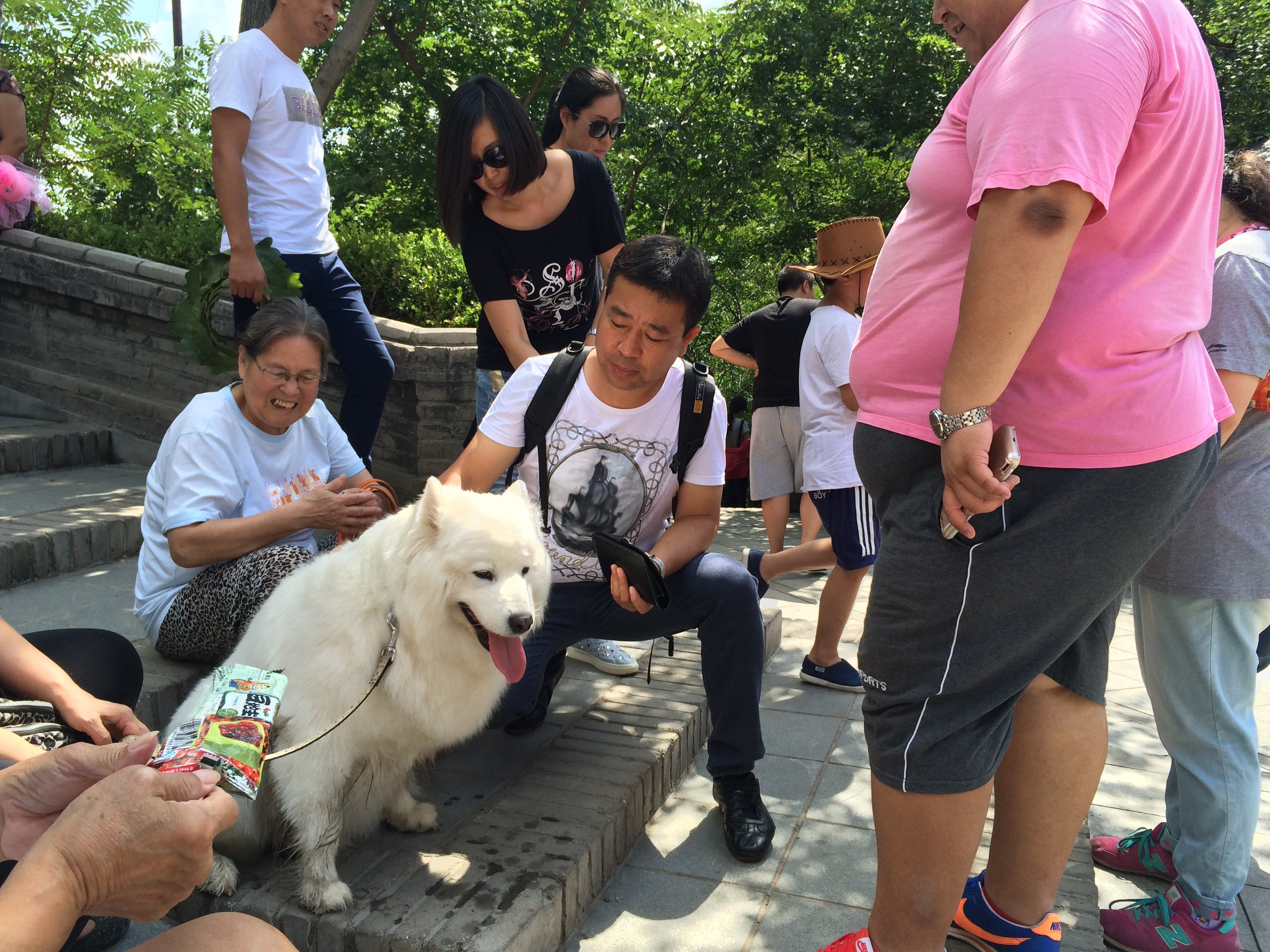 休息又招来一群人围观,看这个肚子好大啊 九门口水上长城