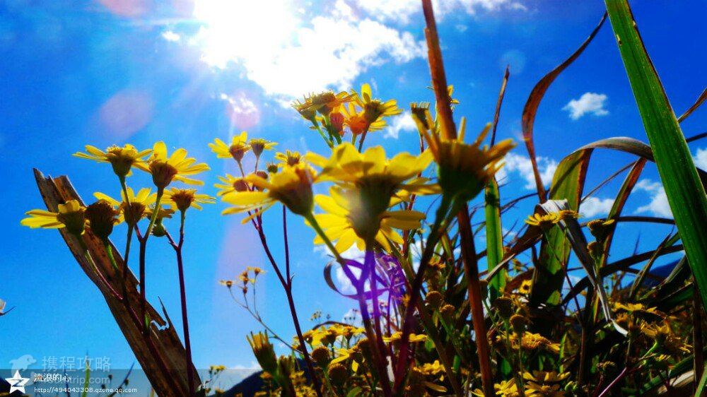 乐园游·昆明+大理+丽江+腾冲+西双版纳8日7