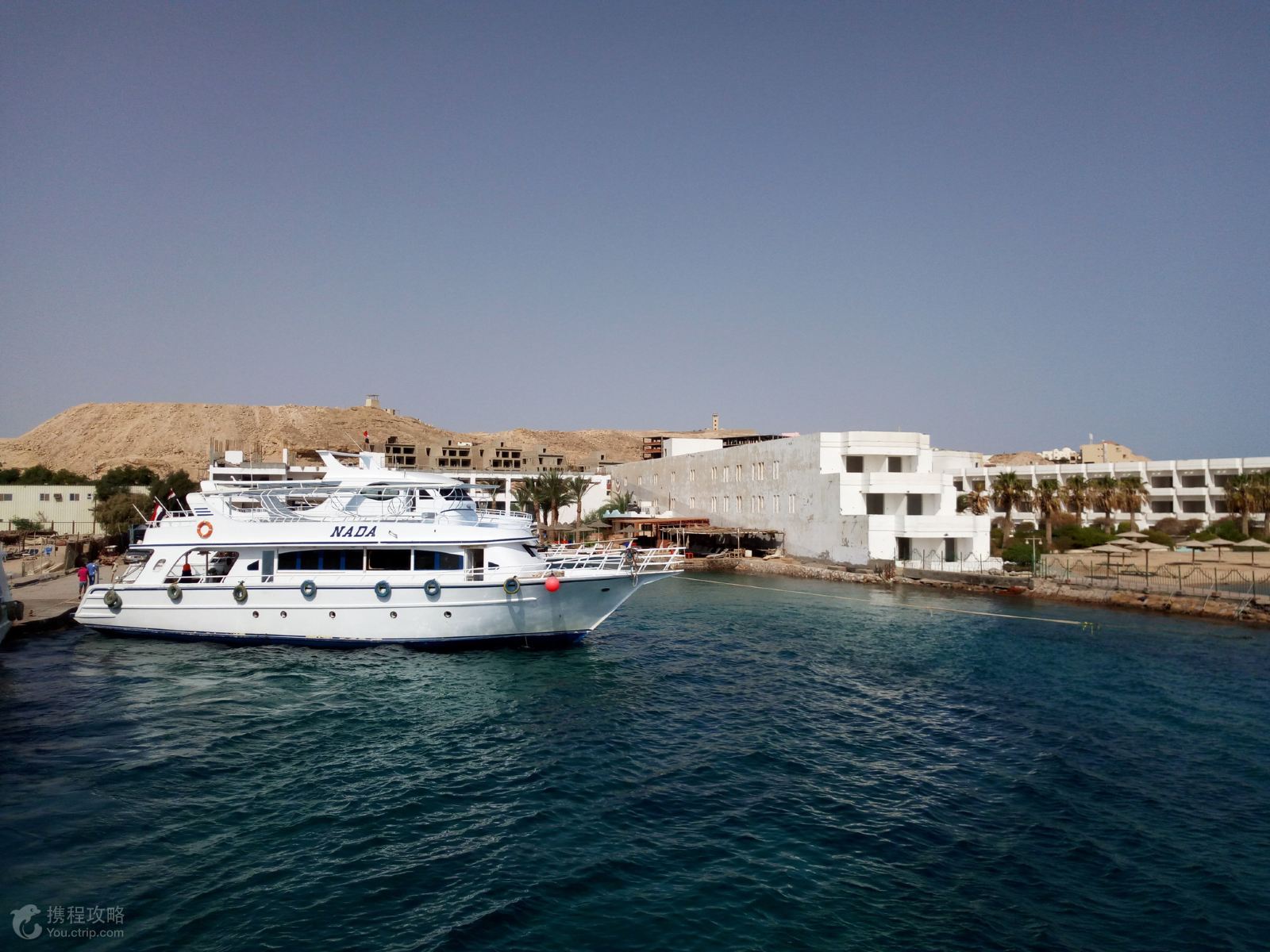 埃及8日跟团游·包机直飞 全程五星住宿 3晚游