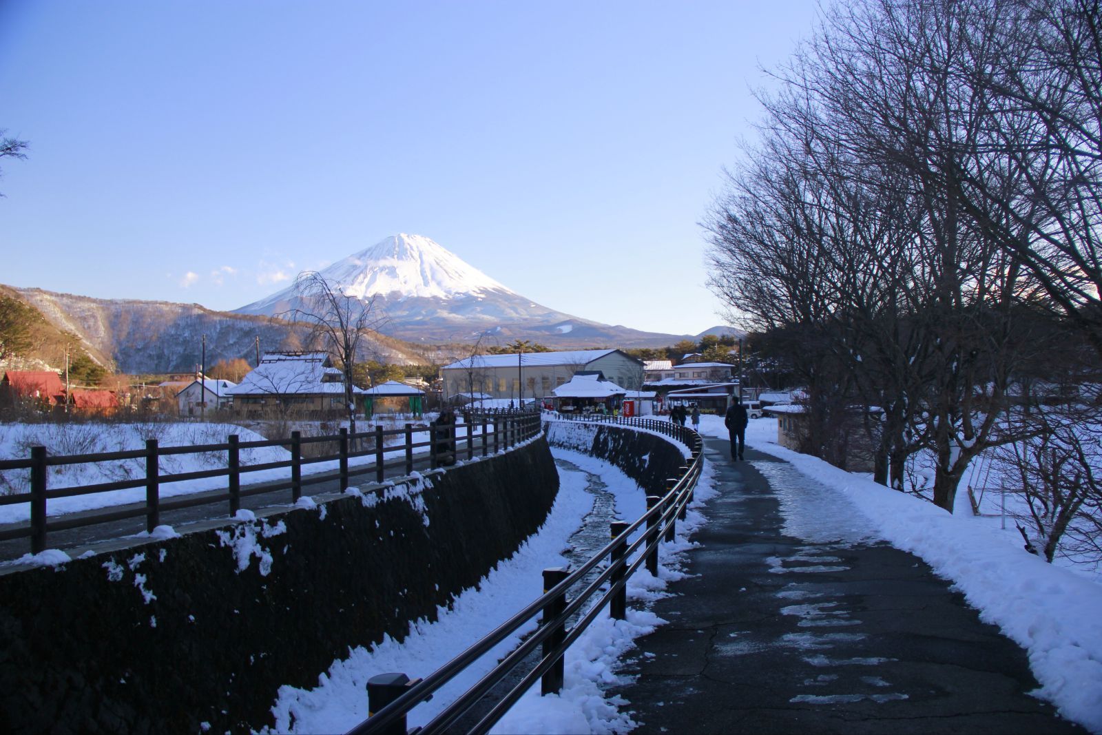 冬季游日本