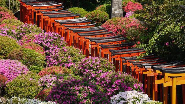 根津神社