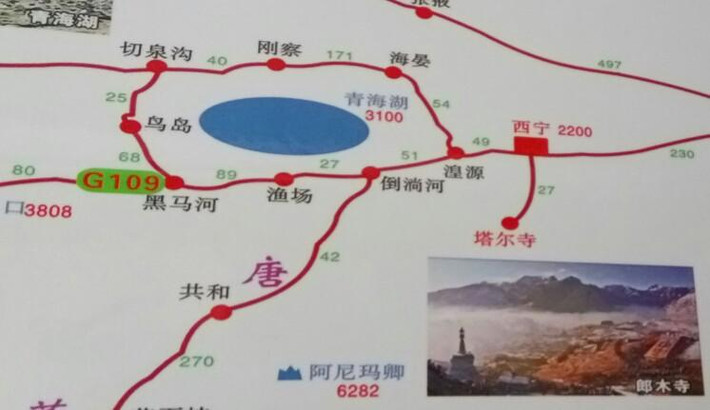 青海湖是这次自驾游计划的最后一个景点.