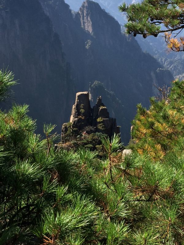 近景苍松,老松针金黄,新松针翠绿,中景立石拔地而起,远山气势雄伟.